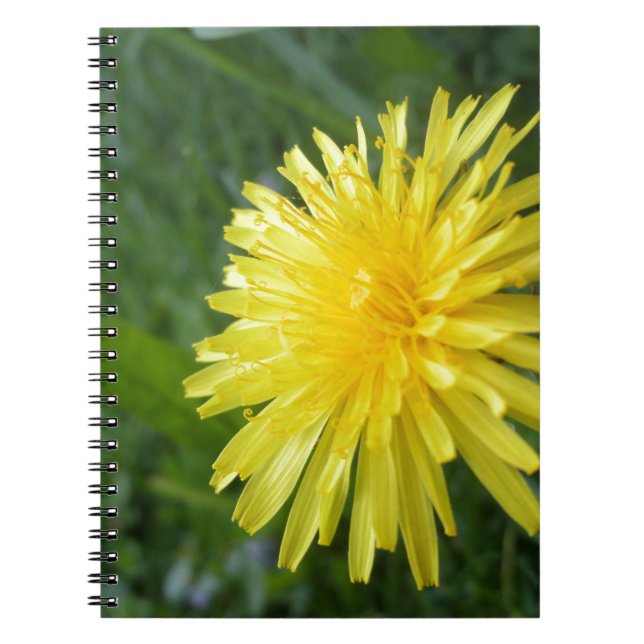 Cuaderno Joya del verano (Frente)