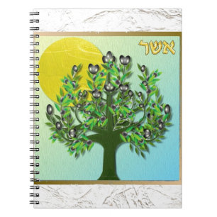 Cuaderno Judaica 12 Tribes Of Israel Asher