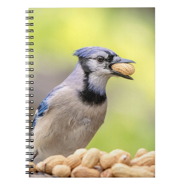 Cuaderno Judía azul con un maní (Frente)