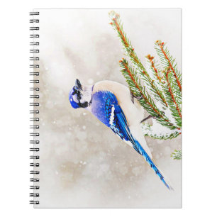 Cuaderno Judía azul en un pino con nieve