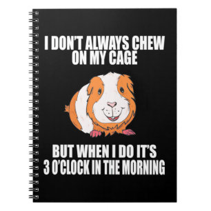 Cuaderno Juego Con El Cerdo De Guine Por La Mañana