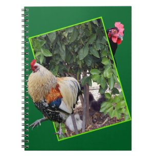 Cuaderno **"Juego de aves: Escóndete de pollo en 3D"**