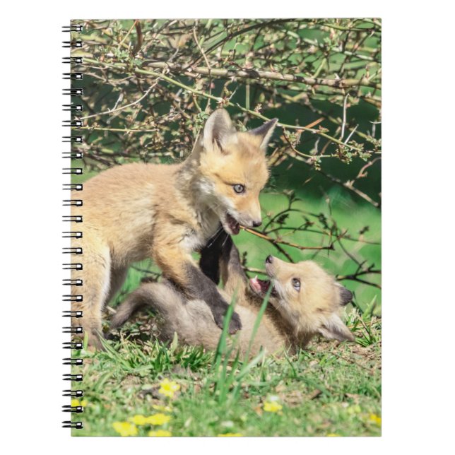 Cuaderno Juego de Red Fox Kits (Frente)