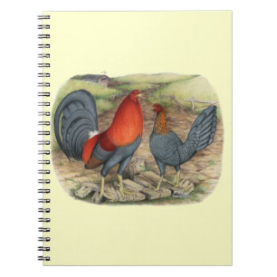 Cuaderno Juegos Azules Rojos Americanos