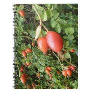 Cuaderno Juicy Red Rose Hips