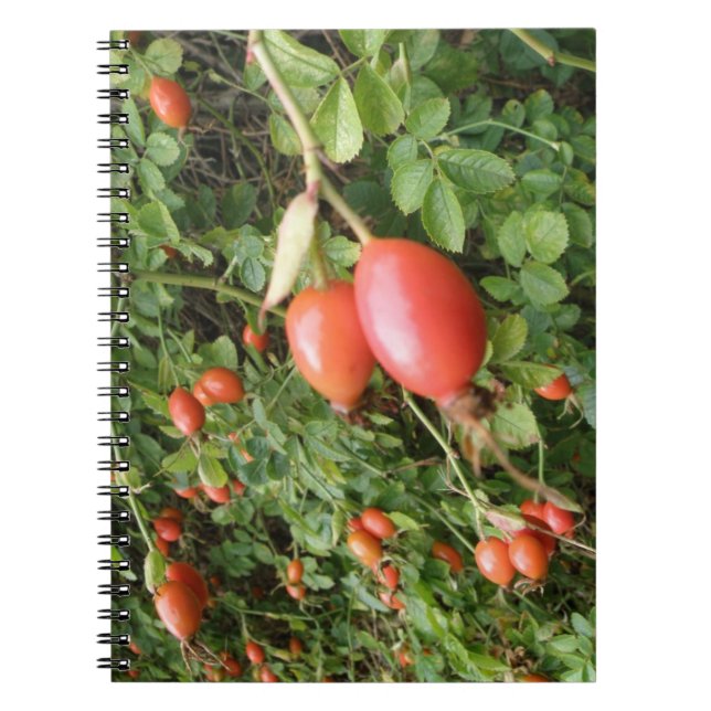 Cuaderno Juicy Red Rose Hips (Frente)