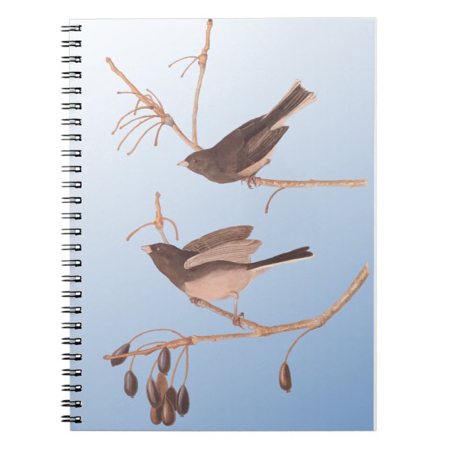 Cuaderno Junco Audubon, de ojos oscuros, aviva la nieve en  (Frente)