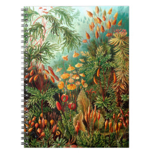 Cuaderno Jungla