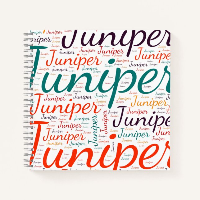 Cuaderno Junípero (Anverso)