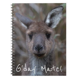 Cuaderno Kangaro gris occidental Australia