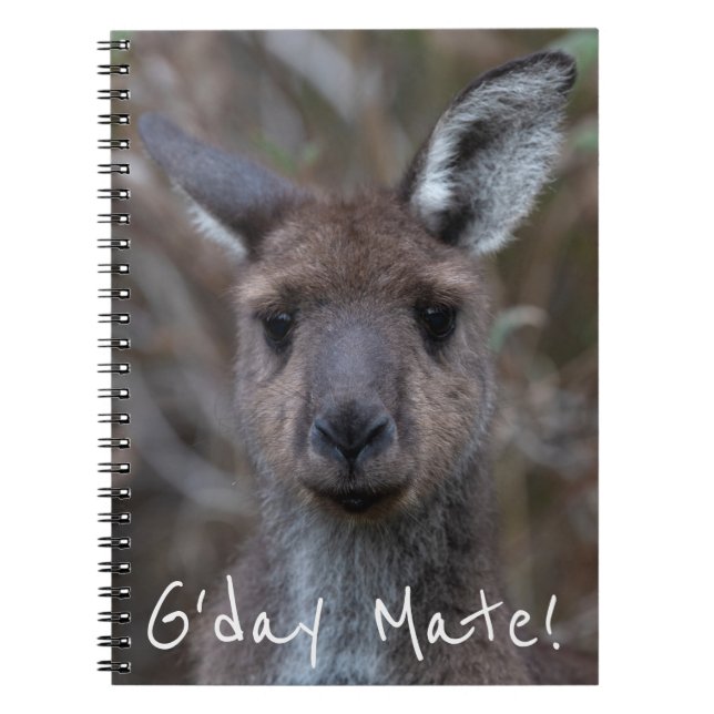 Cuaderno Kangaro gris occidental Australia (Frente)