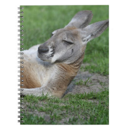 Cuaderno Kangaroo