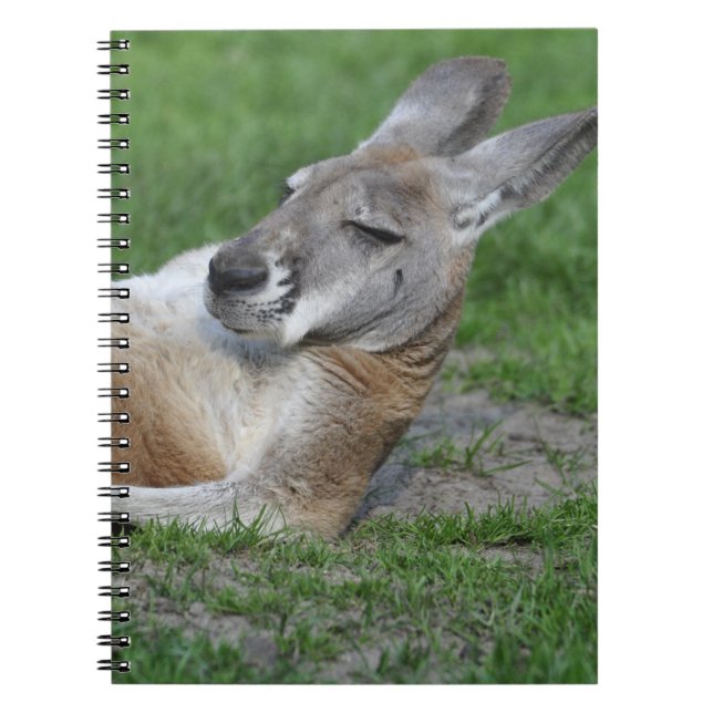 Cuaderno Kangaroo (Frente)