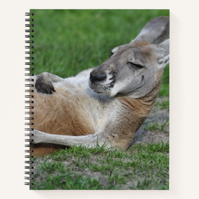 Cuaderno Kangaroo (Anverso)