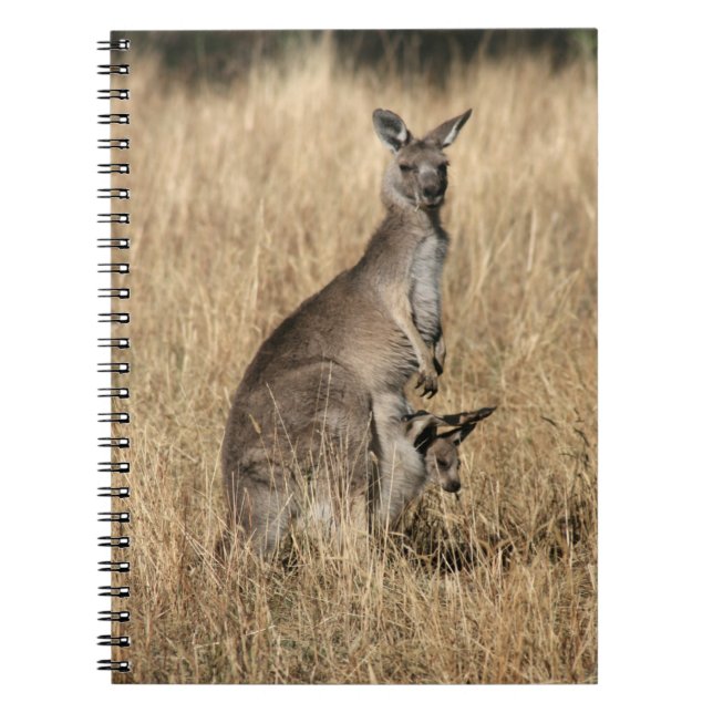 Cuaderno Kangaroo con el bebé Joey en Pouch (Frente)