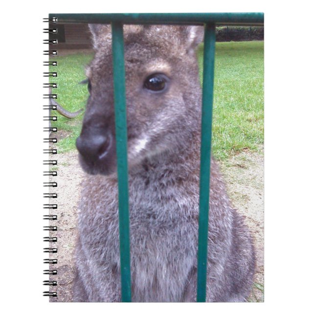Cuaderno Kangaroo tras las rejas (Frente)