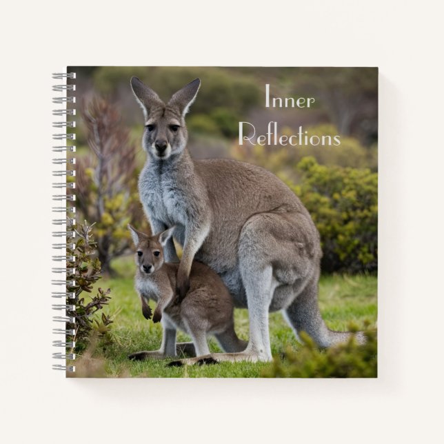 Cuaderno Kangaroo y Joey (Anverso)