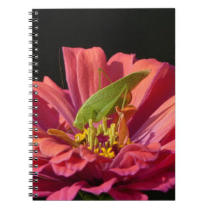 Cuaderno Katydid sobre Zinnia