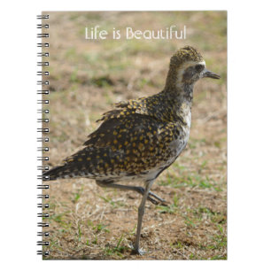 Cuaderno Kauai Hawaii Pájaro en una pierna (mi fotografía)