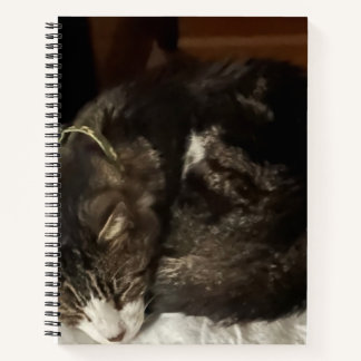 Cuaderno Keeno portátil de espiral circular perfecto