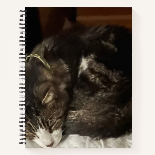 Cuaderno Keeno portátil de espiral circular perfecto (Anverso)