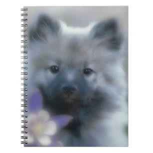 Cuaderno Keeshond y Columbine - Fotografía de perro