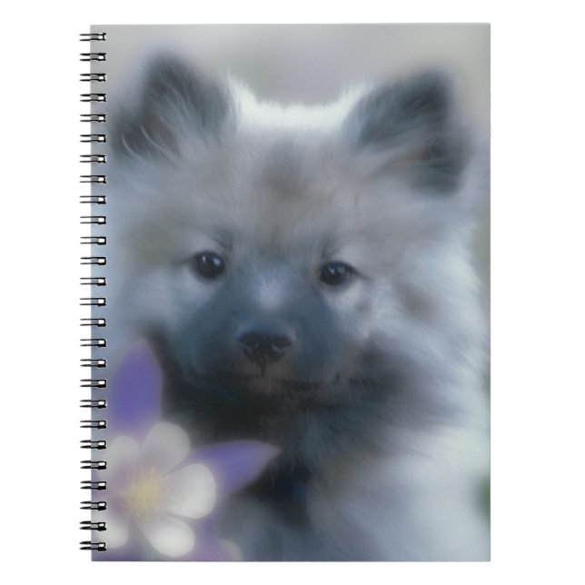 Cuaderno Keeshond y Columbine - Fotografía de perro (Frente)