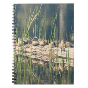 Cuaderno Kelly Nickels Photography / Ducks en un blog