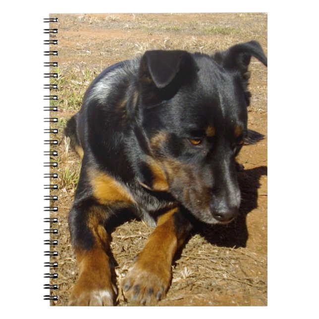 Cuaderno Kelpie_Farm_Life, (Frente)