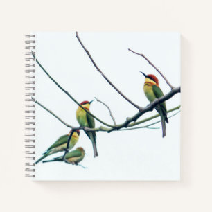 Cuaderno Kerala india exótica pájaros come abejas en una su