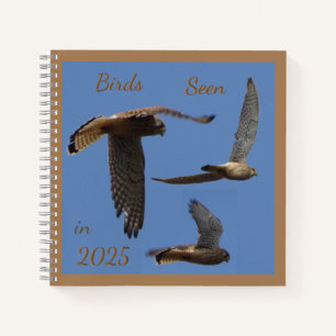 Cuaderno Kestrel Birds Photography Birdwatching Notebook