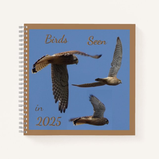 Cuaderno Kestrel Birds Photography Birdwatching Notebook (Anverso)