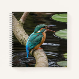 Cuaderno Kingfisher Bird