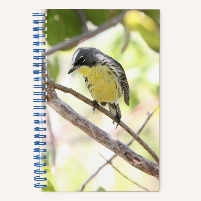 Cuaderno Kirtland's Warbler spiral bound bullet journal (Anverso)