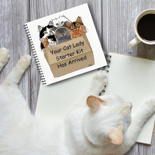 Cuaderno Kit de inicio de la dama del gato (Subido por el creador)