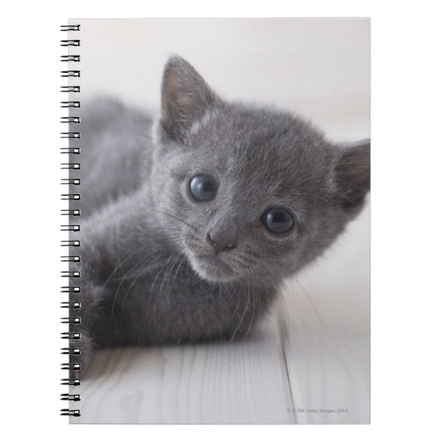 Cuaderno Kitten azul ruso (Frente)