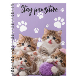 Cuaderno Kitten Stay Pawsitive Notebook