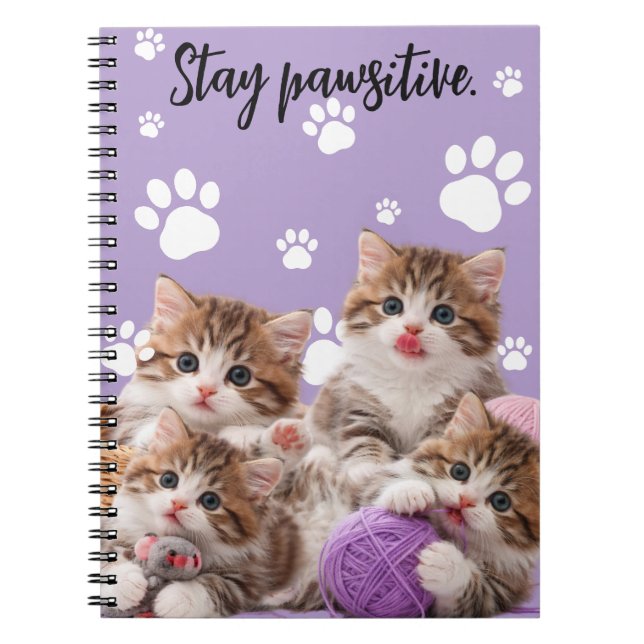 Cuaderno Kitten Stay Pawsitive Notebook (Frente)