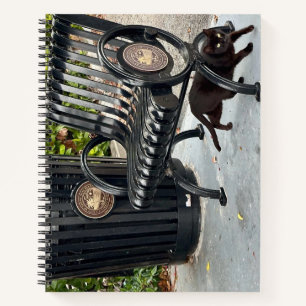 Cuaderno Kitty en el parque