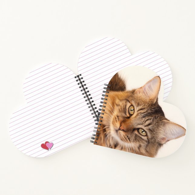 Cuaderno Kitty Love (Interior)