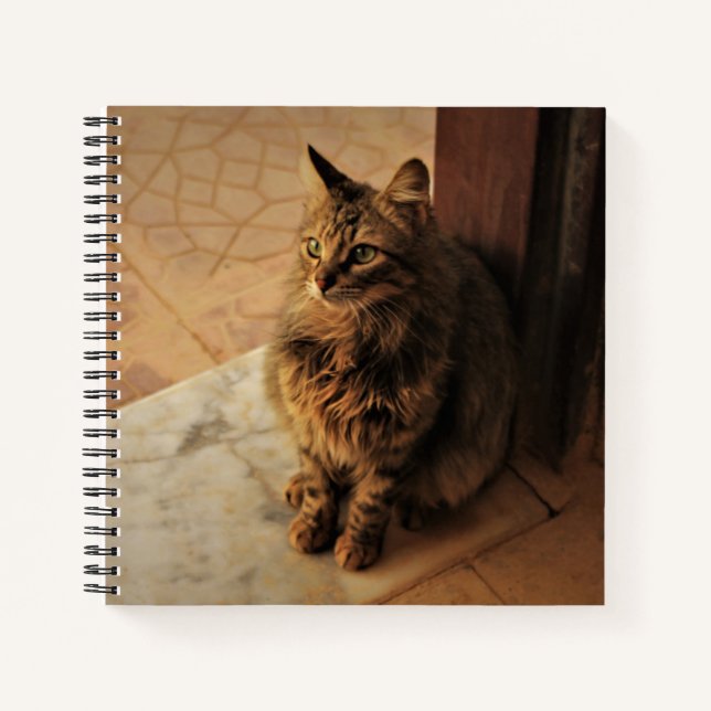 Cuaderno Kitty pacífico (Anverso)