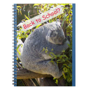 Cuaderno Koala de vuelta a la escuela