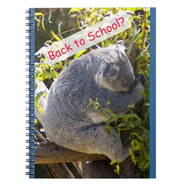 Cuaderno Koala de vuelta a la escuela (Frente)