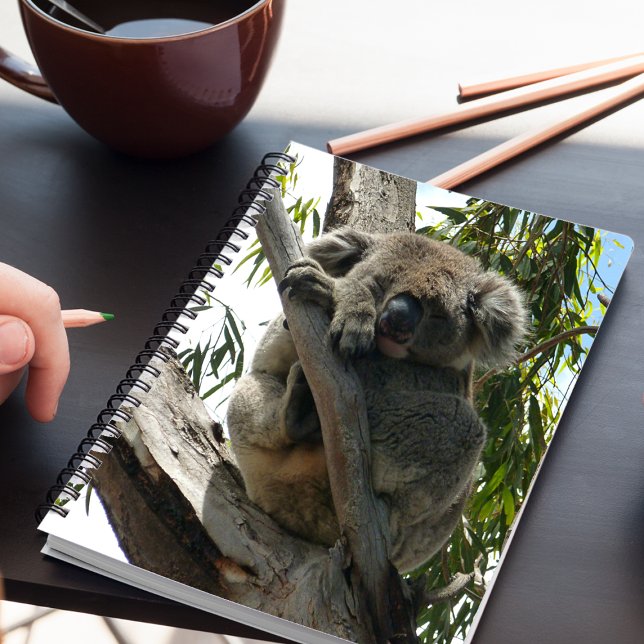 Cuaderno Koala - Durmiendo (Subido por el creador)