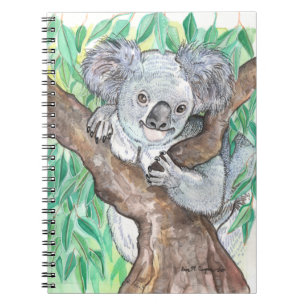 Cuaderno Koala en pintura de árboles de eucalipto