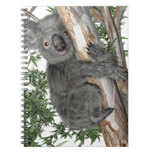 Cuaderno Koala en un árbol
