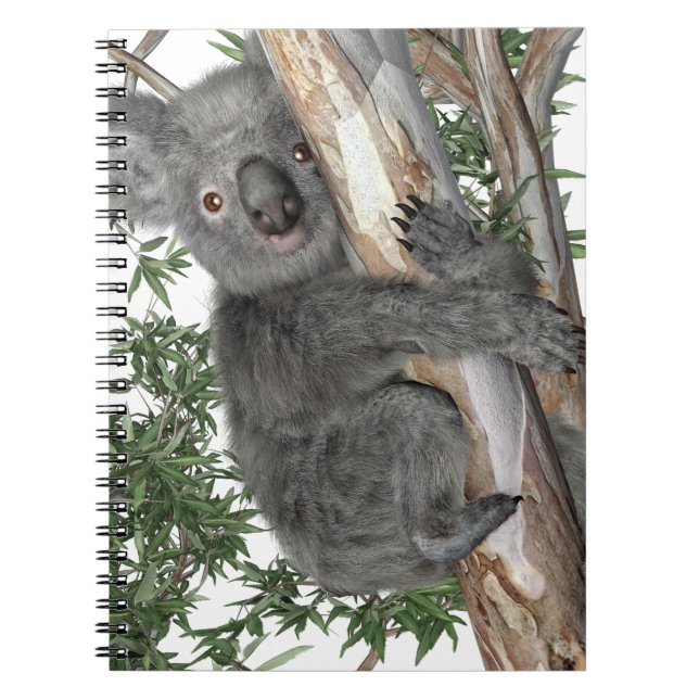 Cuaderno Koala en un árbol (Frente)