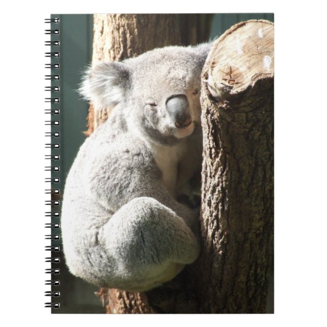 Cuaderno Koala Notebook (Frente)