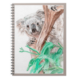 Cuaderno Koala, Peek-a-Boo