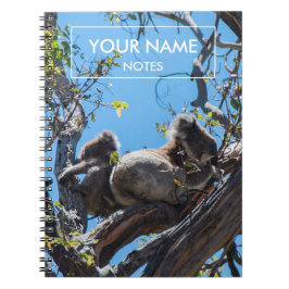Cuaderno Koalas personalizado